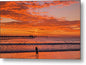 golden sunset over ocean beach