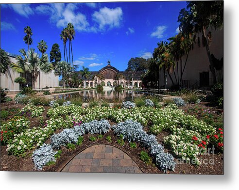 Beautiful Balboa Park Reflection Pond And Garden