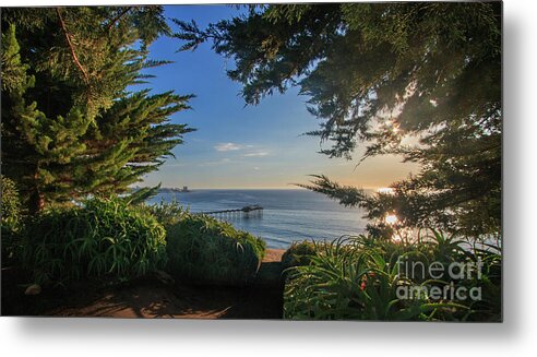 Capture the warmth of a coastal evening with Sunset Thru The Trees, a stunning San Diego metal print designed to bring vibrant nature art into your space.